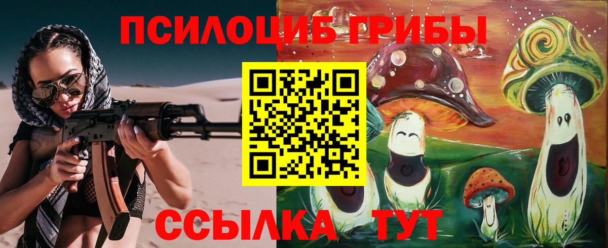 Галлюциногенные грибы GOLDEN TEACHER  Вход с VPN  Грязи 