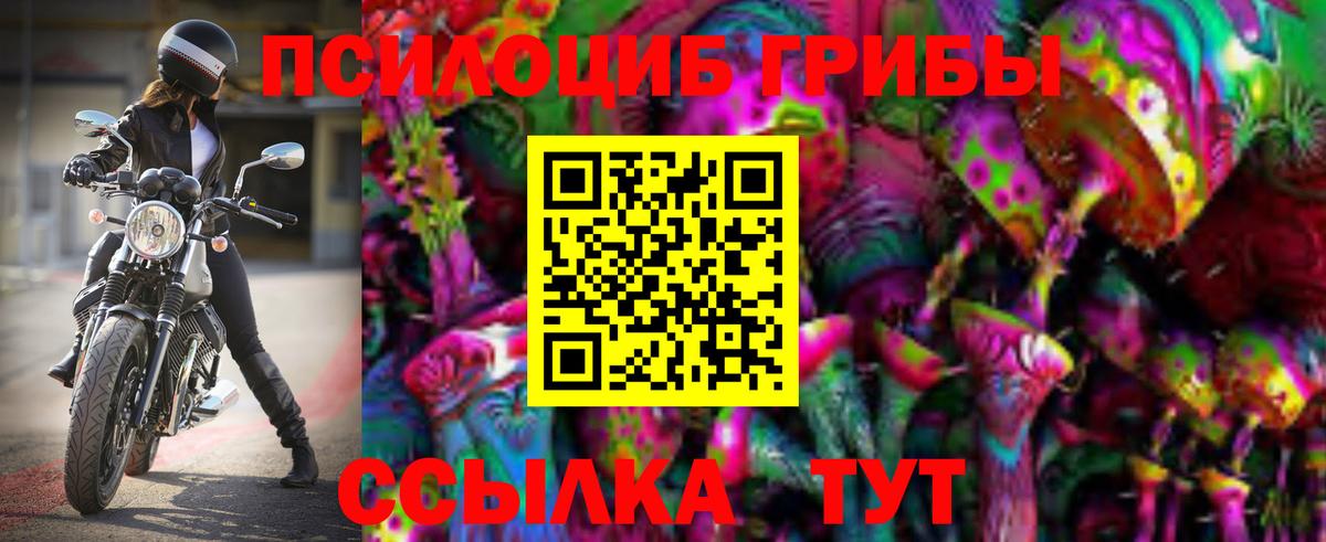 Псилоцибиновые грибы MAGIC MUSHROOMS Грязи